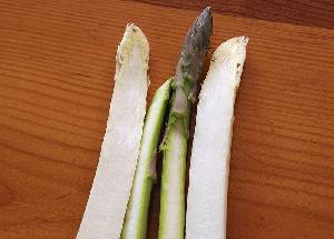 Detalle de esp�rragos [Esp�rrago]