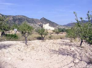 Vieja Casa 