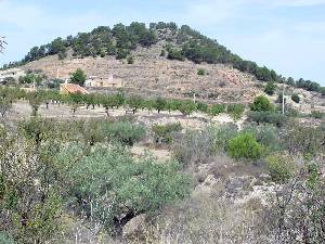Cabezo de La Alcoba 
