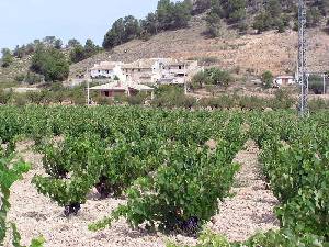 La Alcoba