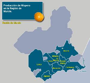 Zonas de producci�n [N�spero]