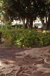 Parque de Floridablanca