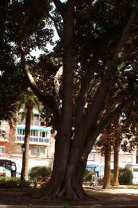 Parque de Floridablanca