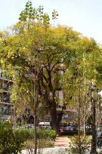 Parque de Floridablanca