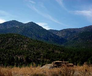 La productividad de nuestros montes depende de su buena consrevaci�n