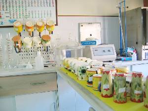 Control de cesi�n de plomo y de cadmio en cer�mica esmaltada 