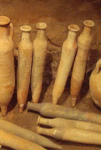 �nforas de salaz�n 