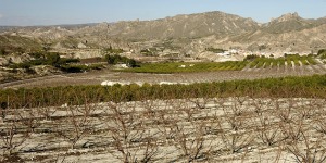 Caada Gil  - Juan de la Cruz