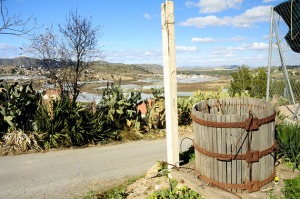 Campillo de los Jim�nez 