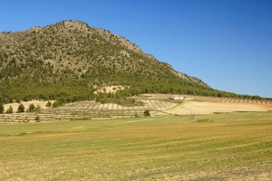 Burete  - Juan de la Cruz