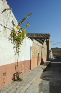 Caada del Trigo  