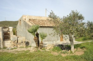 El Mingrano 