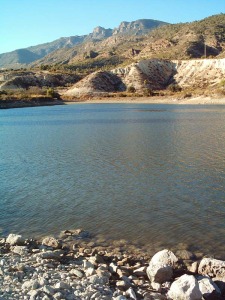 La funci�n principal es la contenci�n de avenidas y para riego