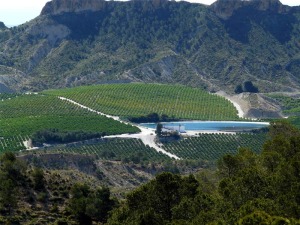 Nuevos regados conquistan zonas forestales [Vegas y Regados]