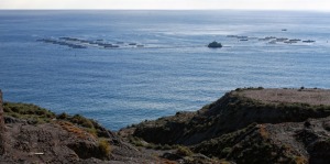 Los Collados  - Joaqu�n Zamora