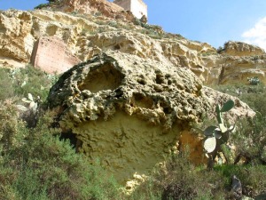 La meteorizacin de las areniscas marinas de Aledo ha dado lugar a formas caprichosas de erosin alveolar 