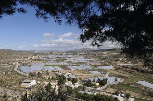Vista de Canara (Ceheg�n) 