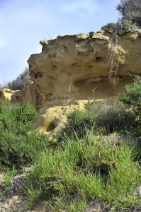 El Alamillo 