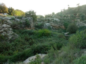 La abundancia de humedad favorece una abundante vegetacin en este paraje 