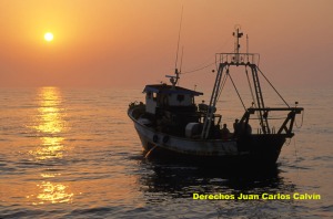 Figura 3. La pesca en el Mediterrneo tiene un marcado carcter artesanal