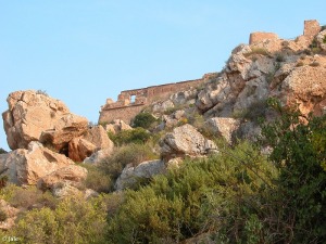 Microrreserva propuesta Roquedos del Castillo de guilas (AGUIL-01)