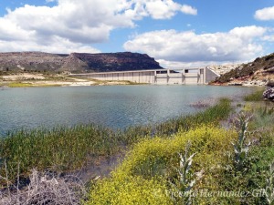 Humedal tipo embalse en La Risca (Moratalla) 