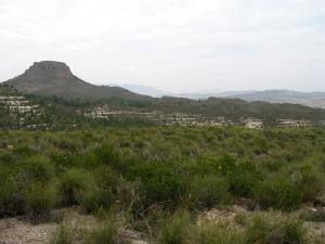 Los volcanes de rocas lamproticas de Murcia, por ser muy raras en nuestro planeta, estn incluidas en el inventario mundial de Lugares de Inters Geolgico. Volcn del Salmern, Moratalla 