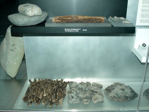 ARQVA Cartagena. Elementos a bordo del Mazarr�n 2, asa de espuerta de madera, restos �seos animales, molino de mano de piedra, restos de �xidos de plomo y abarrote, forro interno del casco con resina