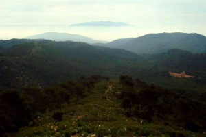 Isla de Carrascoy  
