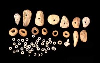 Conchas perforadas para collar