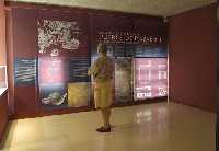 Paneles del �rea 4.