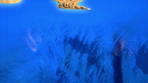 Arrastre de sedimentos hasta los fondos marinos