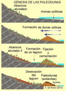 Evolucin de las paleodunas