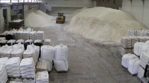 Explotaci�n industrial de las Salinas del Cabezo de la Rosa 