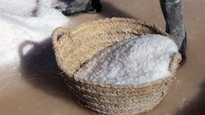 Sal extra�da en las Salinas de Rambla Salada