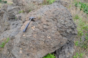 Los gases han dejado estas oquedades en la roca baslticas, en ocasiones se han rellenado de minerales del grupo de las zeolitas