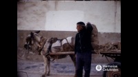 Un Patrimonio de Cine. Domstico