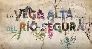La vega alta del ro segura
