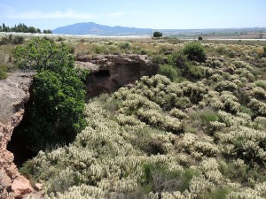 Paraje El Colmenar (Totana)