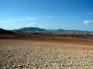 Panor�mica del Campo de Marchena (Lorca)
