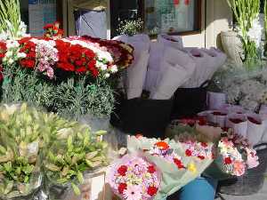 Flores tpicas del Da de Todos los Santos. Mercadillos y plazas de la Regin