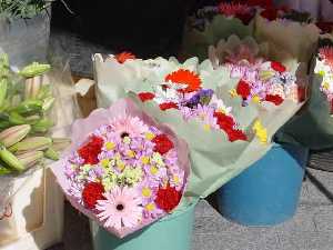 Flores tpicas del Da de Todos los Santos. Mercadillos y plazas de la Regin
