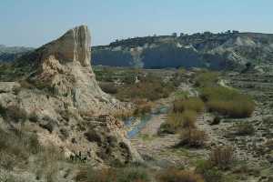 Panormica del Ro Mula a su paso por Albudeite