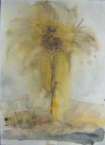 Palmera paret 1