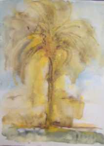 Palmera parte 1 