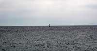 El mar de Puerto de Mazarr�n 