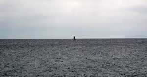 El mar de Puerto de Mazarr�n 