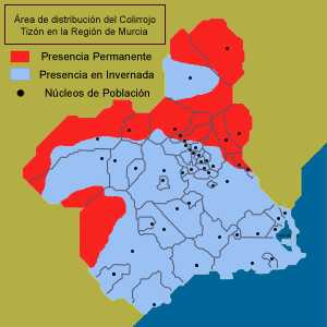 reas de distribucin del Colirrojo tizn (Phoenicurus ochruros) en la Regin de Murcia.