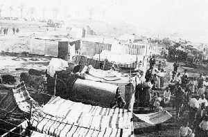 Barraca huertana en Los Alc�zares. A�os 30' 