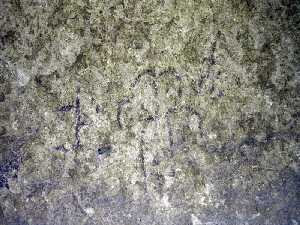 Pinturas rupestre